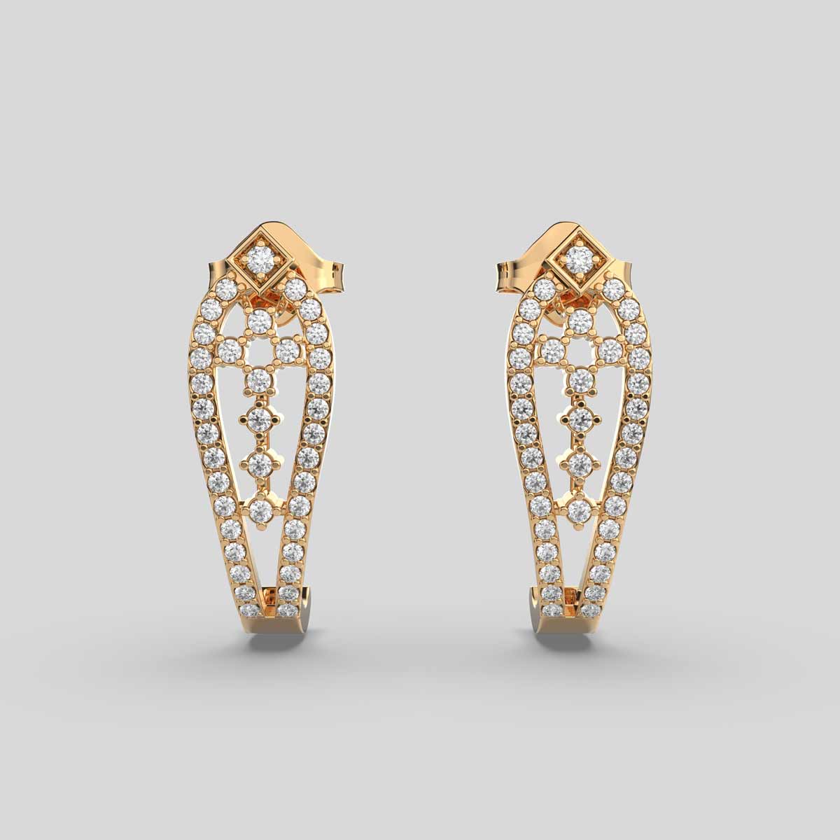 Delicate and Charming Diamond Earrings