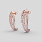 Delicate and Charming Diamond Earrings